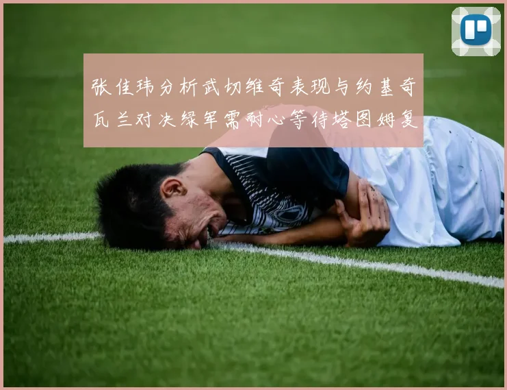 张佳玮分析武切维奇表现与约基奇瓦兰对决绿军需耐心等待塔图姆复出