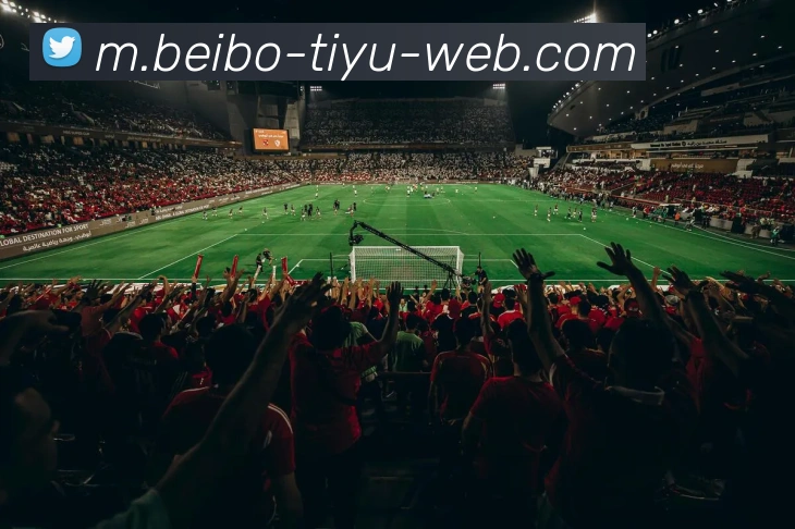 贝博体育APP 封面图